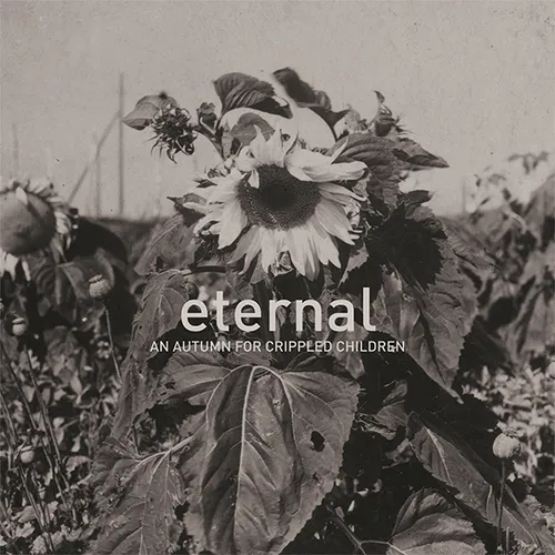 Eternal (m4a)