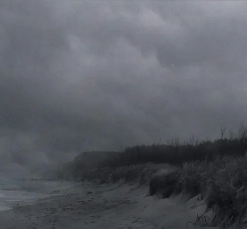 The Critical State of Lonelines