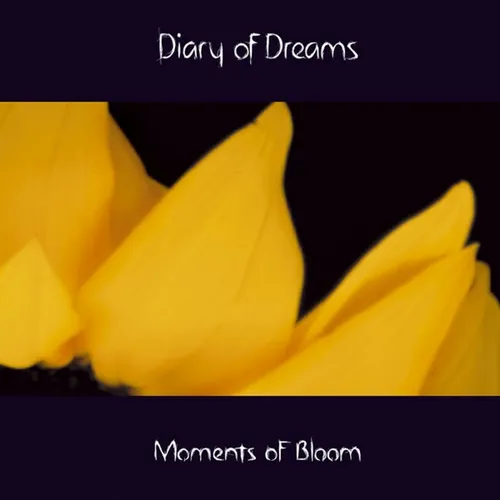 Moments Of Bloom