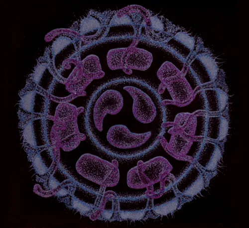 Dreamtime Submersibles