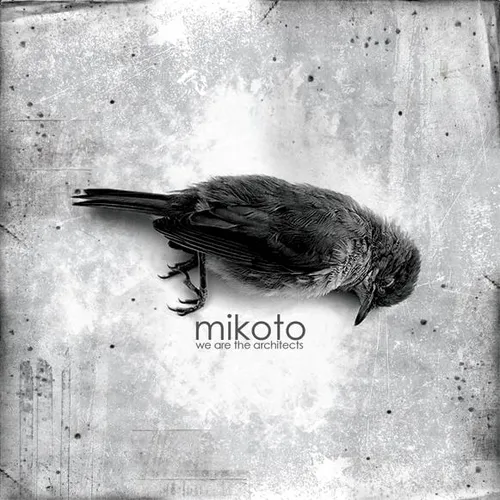 We Are The Architects