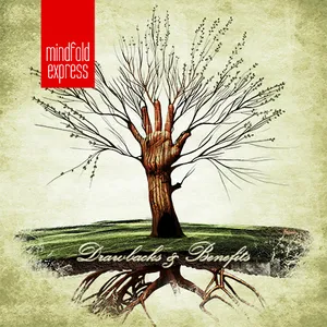 Drawbacks and Benefits