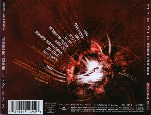 Mechanical Spin Phenomenon