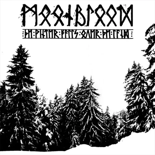 The Winter Falls Over the Land