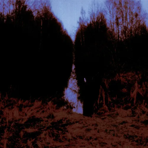 My Arms, Your Hearse