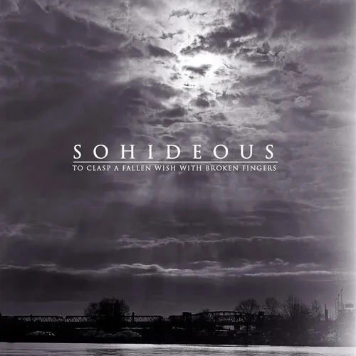 To Clasp A Fallen Wish With Broken Fingers